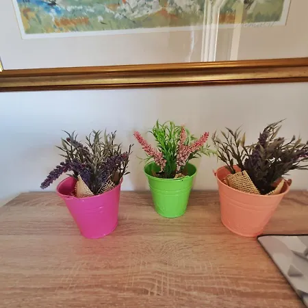 Latin Апартаменты Езера